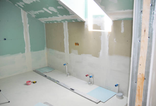 Best Black Mold Removal  in Buhler, KS