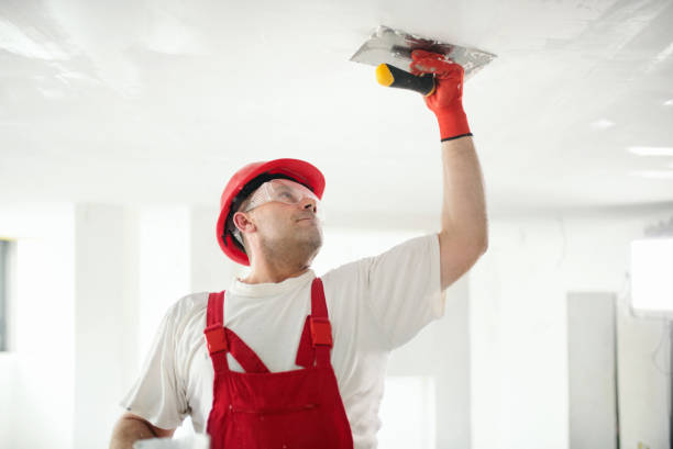 Best Emergency Mold Remediation  in Buhler, KS