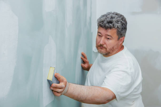 Best Mold Damage Restoration  in Buhler, KS