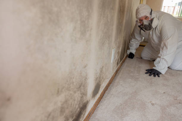 Best Mold-Related Health Consultation  in Buhler, KS