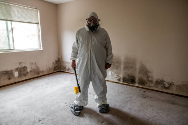 Best Mold Odor Removal Services  in Buhler, KS