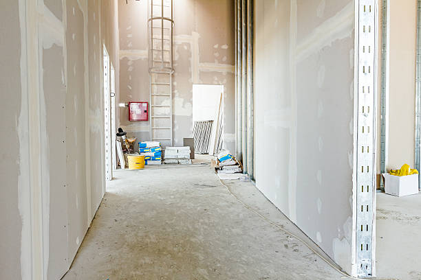 Best Black Mold Removal  in Buhler, KS
